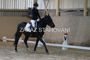ZH1 hobby (64).JPG