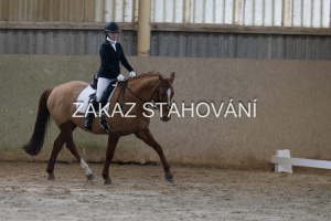 ZH1 hobby (845).JPG