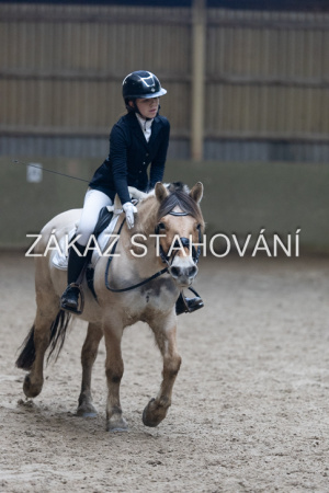Z1 hobby (1150).JPG
