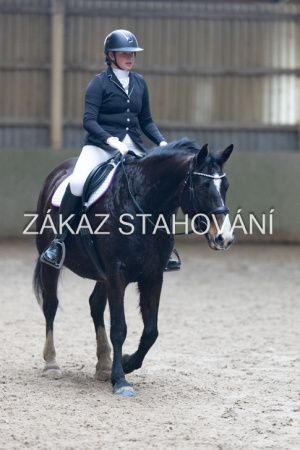 Z1 hobby (1260).JPG