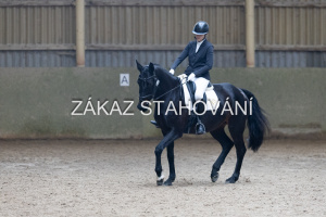 Z1 hobby (1297).JPG