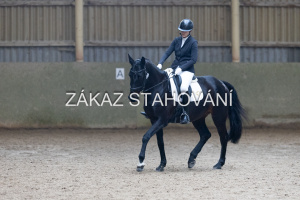 Z1 hobby (1298).JPG