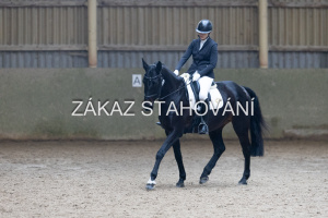 Z1 hobby (1299).JPG