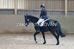 Z1 hobby (1356).JPG