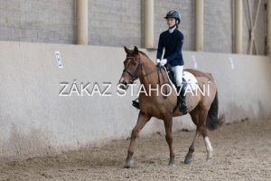 Z1 hobby (1389).JPG