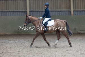 Z1 hobby (1440).JPG