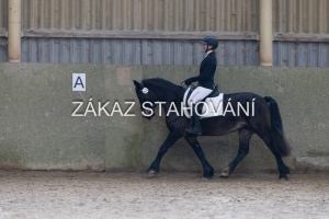 Z1 hobby (1588).JPG