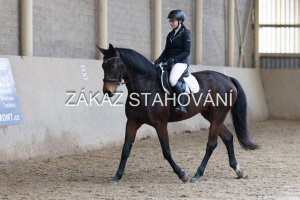 Z1 hobby (1722).JPG