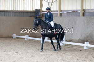 Z1 hobby (192).JPG