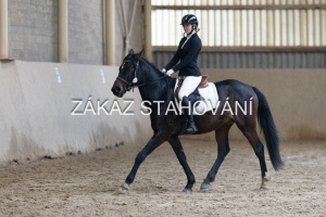 Z1 hobby (23).JPG