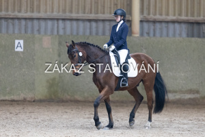 Z1 hobby (668).JPG