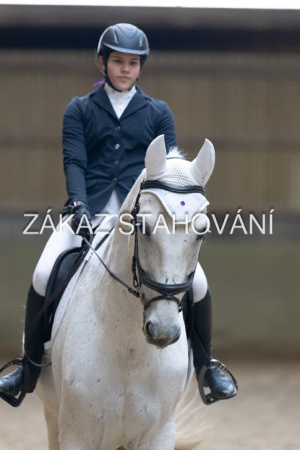 Z1 hobby (66).JPG
