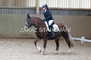 Z1 hobby (833).JPG