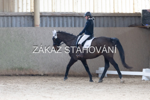 Z2 hobby (1008).JPG
