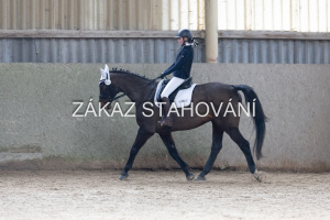Z2 hobby (1010).JPG