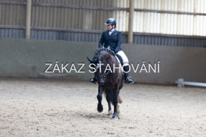 Z2 hobby (1130).JPG
