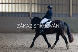 Z2 hobby (1140).JPG