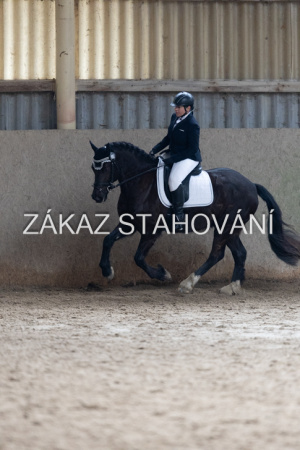 Z2 hobby (1213).JPG