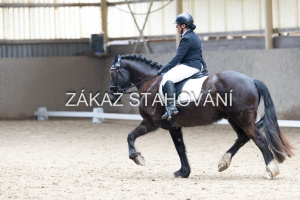 Z2 hobby (1240).JPG