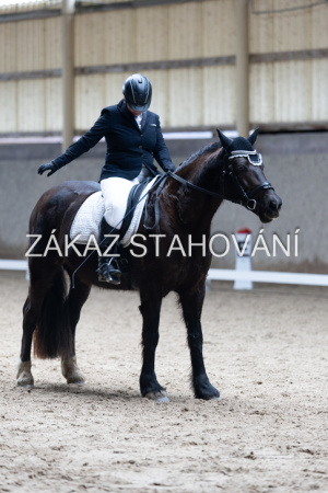 Z2 hobby (1255).JPG