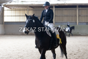 Z2 hobby (1310).JPG