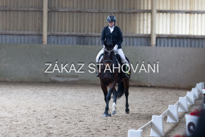 Z2 hobby (1320).JPG