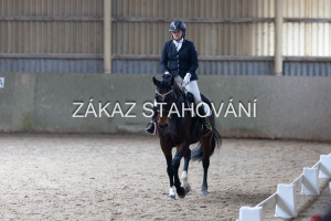 Z2 hobby (1321).JPG