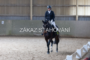 Z2 hobby (1322).JPG