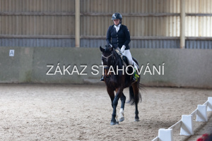 Z2 hobby (1323).JPG