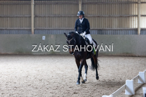 Z2 hobby (1326).JPG