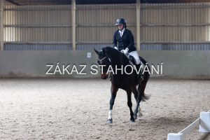 Z2 hobby (1328).JPG