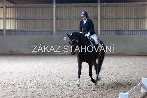 Z2 hobby (1329).JPG