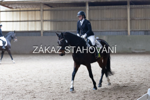 Z2 hobby (1330).JPG