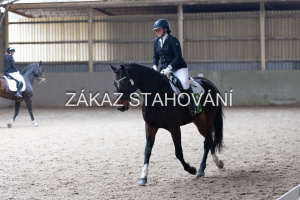 Z2 hobby (1331).JPG
