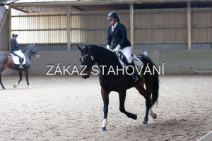 Z2 hobby (1332).JPG