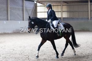 Z2 hobby (1336).JPG