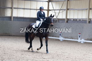Z2 hobby (250).JPG