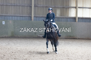 Z2 hobby (290).JPG