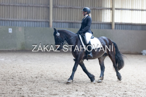 Z2 hobby (560).JPG