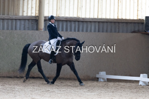 Z2 hobby (744).JPG