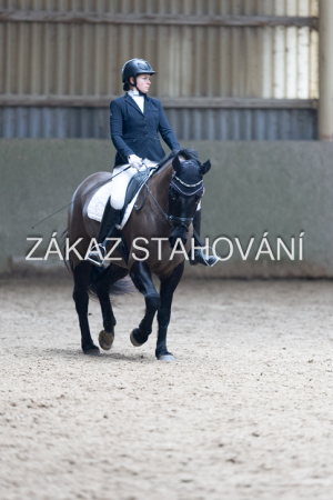 Z2 hobby (772).JPG