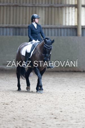 Z2 hobby (774).JPG