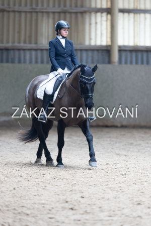 Z2 hobby (776).JPG
