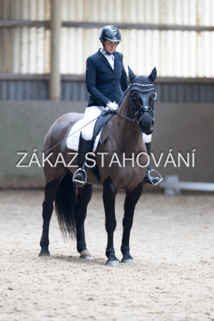 Z2 hobby (781).JPG