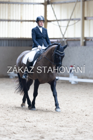 Z2 hobby (790).JPG