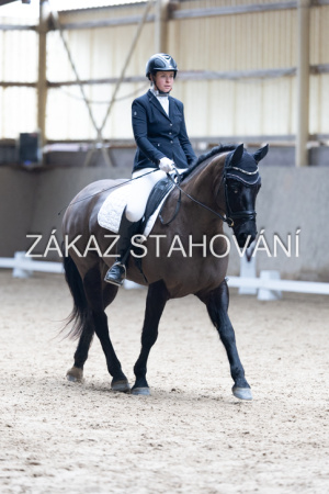 Z2 hobby (795).JPG