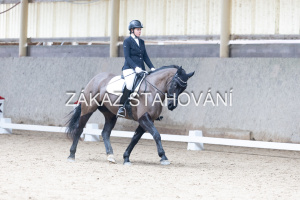 Z2 hobby (820).JPG