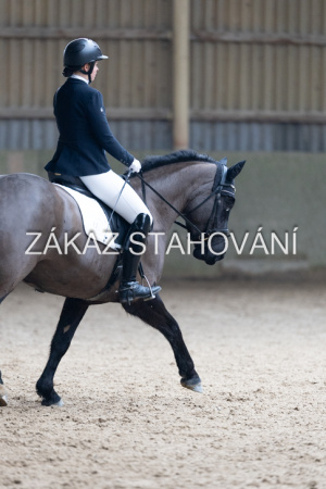 Z2 hobby (859).JPG