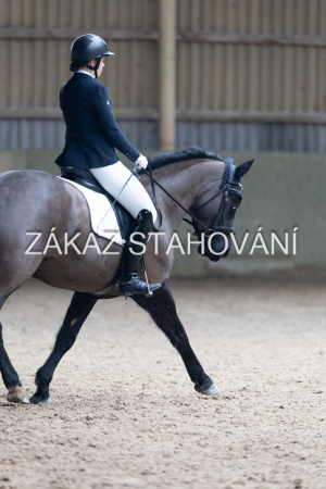 Z2 hobby (860).JPG