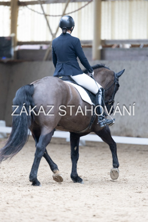 Z2 hobby (862).JPG